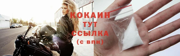 сатива Горно-Алтайск