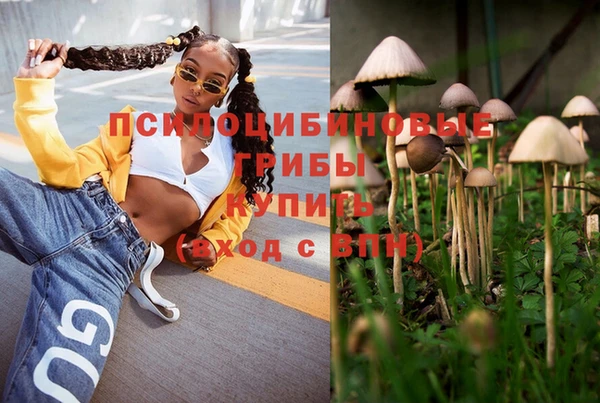 амфетамин Горнозаводск