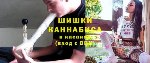 сатива Горно-Алтайск
